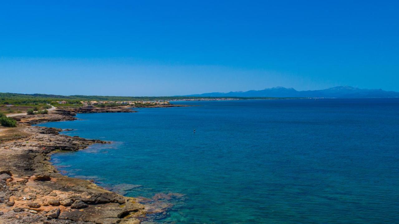 Petit Arta Βίλα Εξωτερικό φωτογραφία